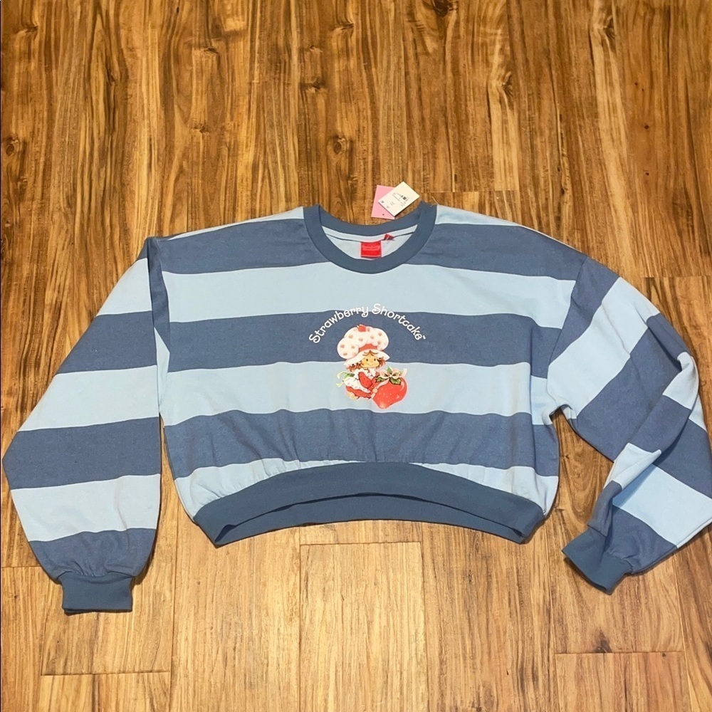 Strawberry shortcake women’s XXL Sweatshirt Blue Striped Cropped graphic NWT